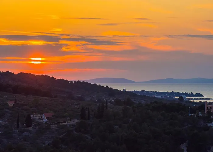 Roza Villa